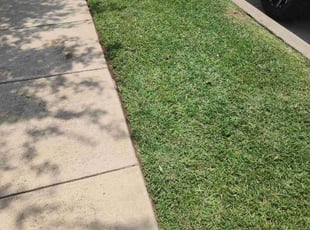 Esmie B.'s Lawn Mowing service result