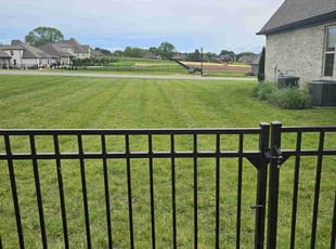 Penelope B.'s Lawn Mowing service result