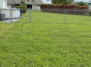 Dani B.'s Lawn Service service result