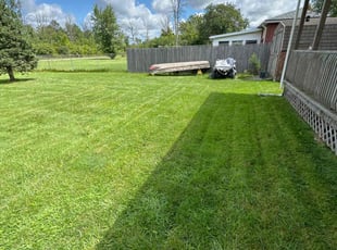 Lynn G.'s Lawn Care service result