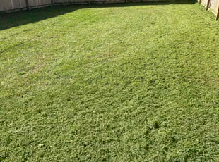 Woodrow G.'s Lawn Care service result