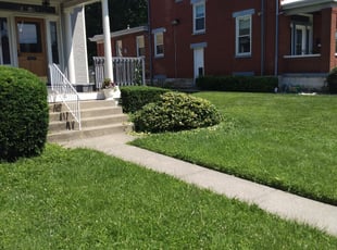 Bush Trimming by Ras Tosh Tafari for Leroy C. in Cincinnati, OH