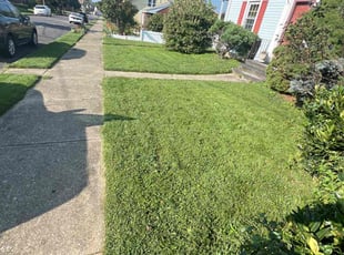 Caitlin C.'s Lawn Mowing Service service result