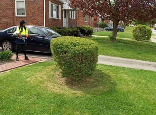Bush Trimming by Terrance North for LaTasha W. in Cincinnati, OH