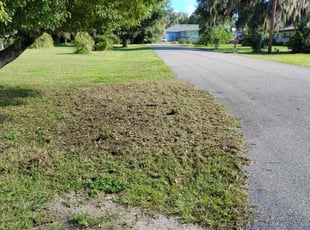 Cleanups by Apolinar Bravo for Jonathan w. in Lakeland, FL
