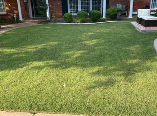Sarah M.'s Lawn Care service result