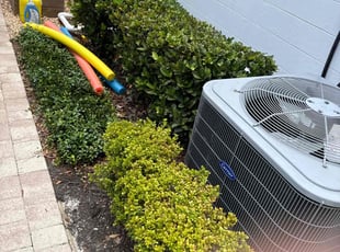 Bush Trimming by Ben Handy for Dennis B. in Orlando, FL