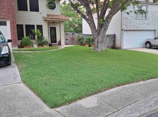 Anna F.'s Lawn Mowing service result