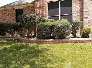 Bush Trimming by Wilmer Padilla for Reggie C. in Rowlett, TX
