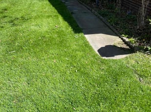 Ronald J.'s Grass Cutting service result