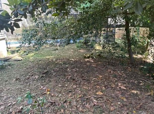 Leaf Removal by James Barkley for Wendy T. in Tallahassee, FL