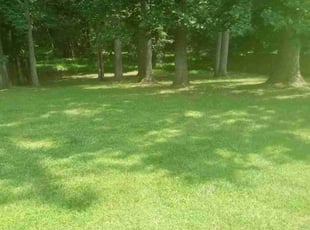 Cleanups by Greg Bush for Jim_Carla A. in Clinton, MD