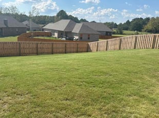 Tracy C.'s Yard Cutting service result
