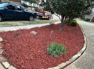 Mulching by Osmin Salvador for Latif D. in Plano, TX