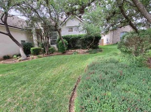 Alexandra G.'s Lawn Mowing Service service result
