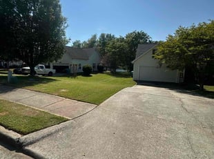 Nieves A.'s Lawn Care service result