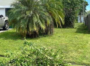 Bush Trimming by Kuisman Mazariegos for Bob P. in Port St. Lucie, FL