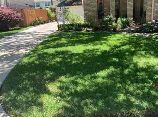 Cody D.'s Lawn Maintenance service result
