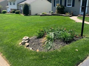 Michele M.'s Lawn Mowing Service service result