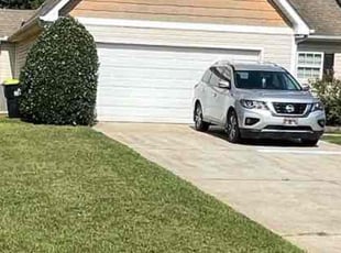 Bush Trimming by Tim Hart for Mitchell J. in McDonough, GA