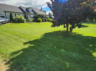 Ruth M.'s Lawn Mowing Service service result