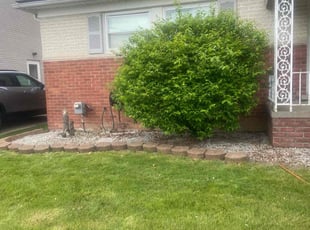 Weeding by Ricardo Binyard Jr for Isaac R. in Eastpointe, MI