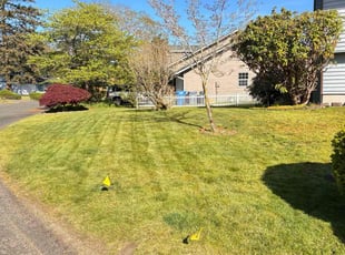 Judy F.'s Lawn Maintenance service result