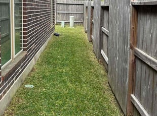 Brigit S.'s Lawn Maintenance service result
