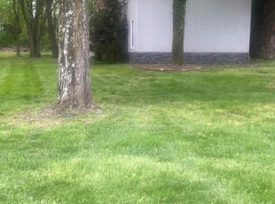 Mohd I.'s Lawn Service service result