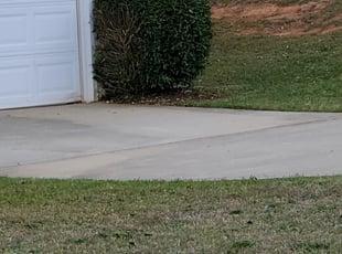 Bush Trimming by Marqui Thurman for Angela W. in Jonesboro, GA