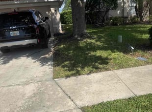 Leaf Removal by Thomas Farley for Ray R. in Bradenton, FL