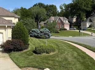 Bush Trimming by dejason james for Darat W. in Kansas City, MO