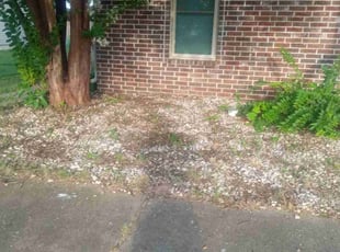 Weeding by Karushoun Kelly for Chris W. in North Little Rock, AR