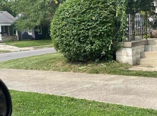 Bush Trimming by Edgar Hernandez for Michele P. in Columbus, OH