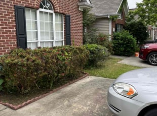 Bush Trimming by Monte Rasheed for Joseph G. in Pelham, AL