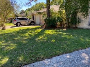 Bush Trimming by Isaac Enriquez for Charles T. in Houston, TX