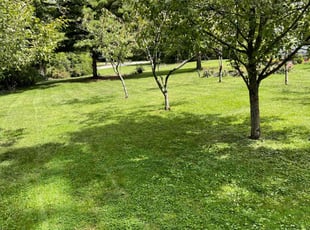Judith V.'s Grass Cutting service result