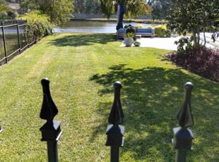 Lauren U.'s Grass Cutting service result