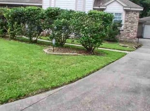 Bush Trimming by Felix Botello for Lona M. in Spring, TX
