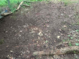 Cleanups by Khalid Muhammad for Vicky Q. in Raleigh, NC