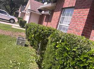 Bush Trimming by Shaun Waters for Teresita F. in Jacksonville, FL