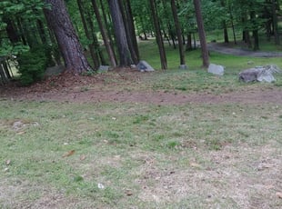 Cleanups by Desiree Corker for Cory A. in Atlanta, GA