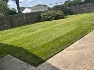 Stacy B.'s Lawn Mowing service result