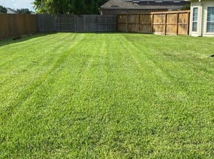 Dorothy P.'s Lawn Service service result