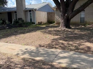 Cleanups by Jason Mince for Jules M. in Lewisville, TX
