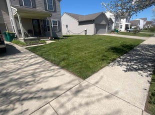 James L.'s Grass Cutting service result