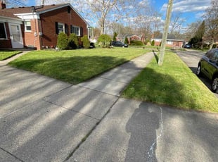 Donna F.'s Lawn Maintenance service result
