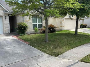 Nick F.'s Grass Cutting service result