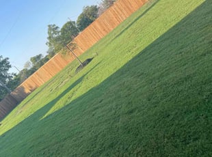 Catherine L.'s Lawn Maintenance service result