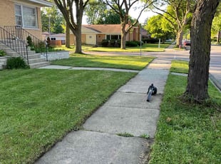Cynthia W.'s Lawn Care service result